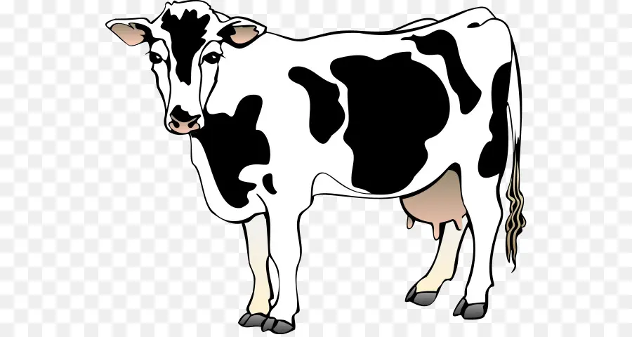 Holstein Frísia Gado，Conteúdo Grátis PNG