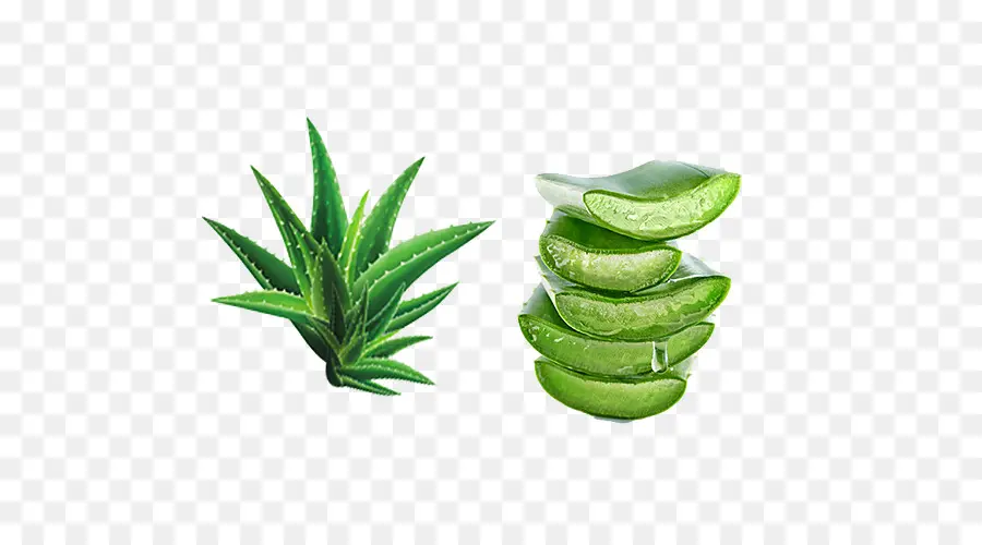 Aloe Vera，Extrato De PNG