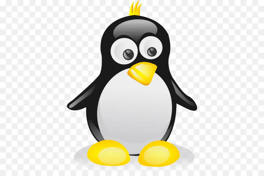 Penguin，Conteúdo Grátis PNG