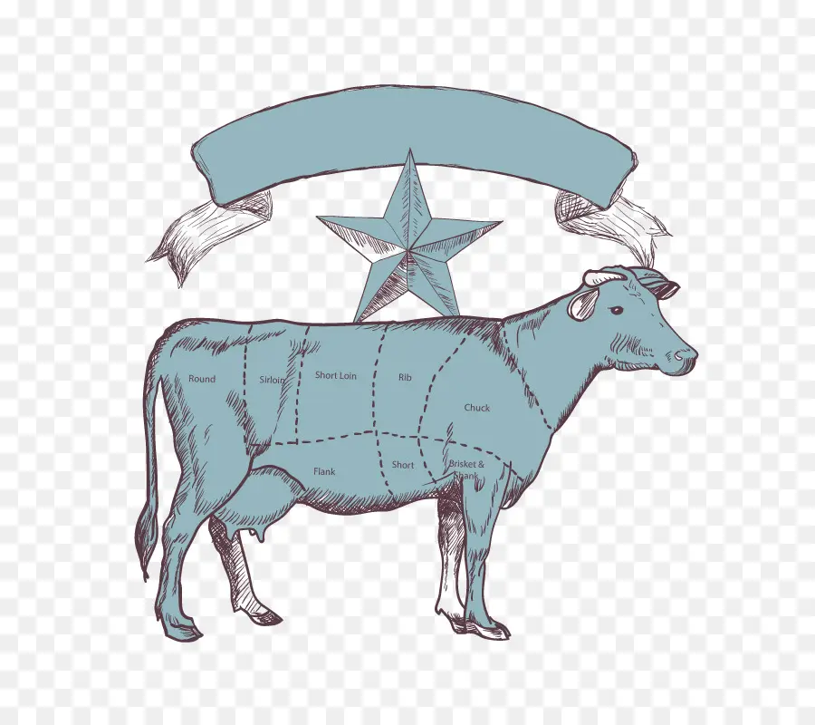 Vaca，Diagrama PNG