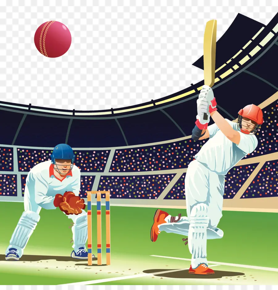 Cricket，Beisebol PNG