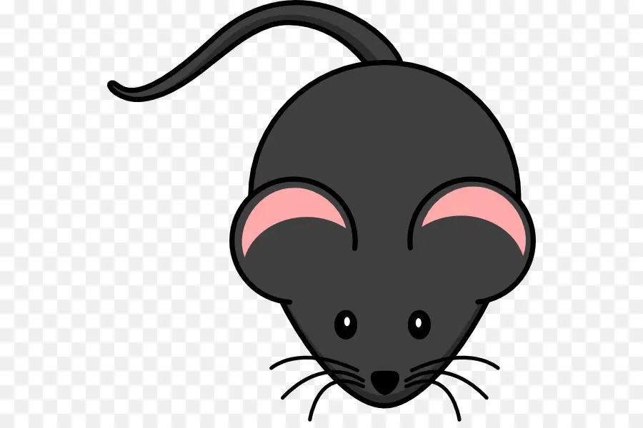 Rato，Roedor PNG