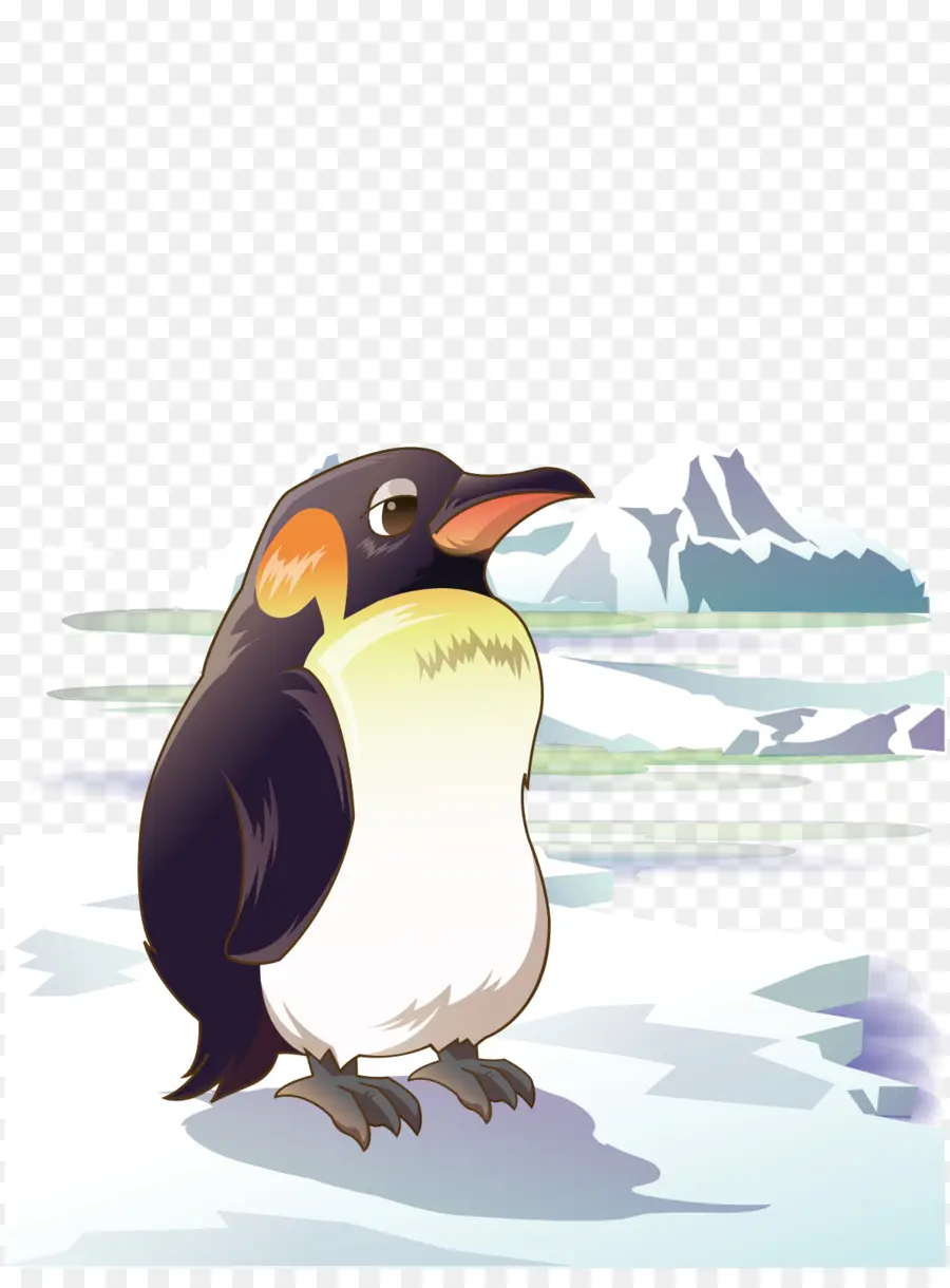 Pólo Sul，Penguin PNG