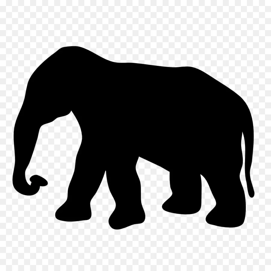 Elefante，Animal PNG