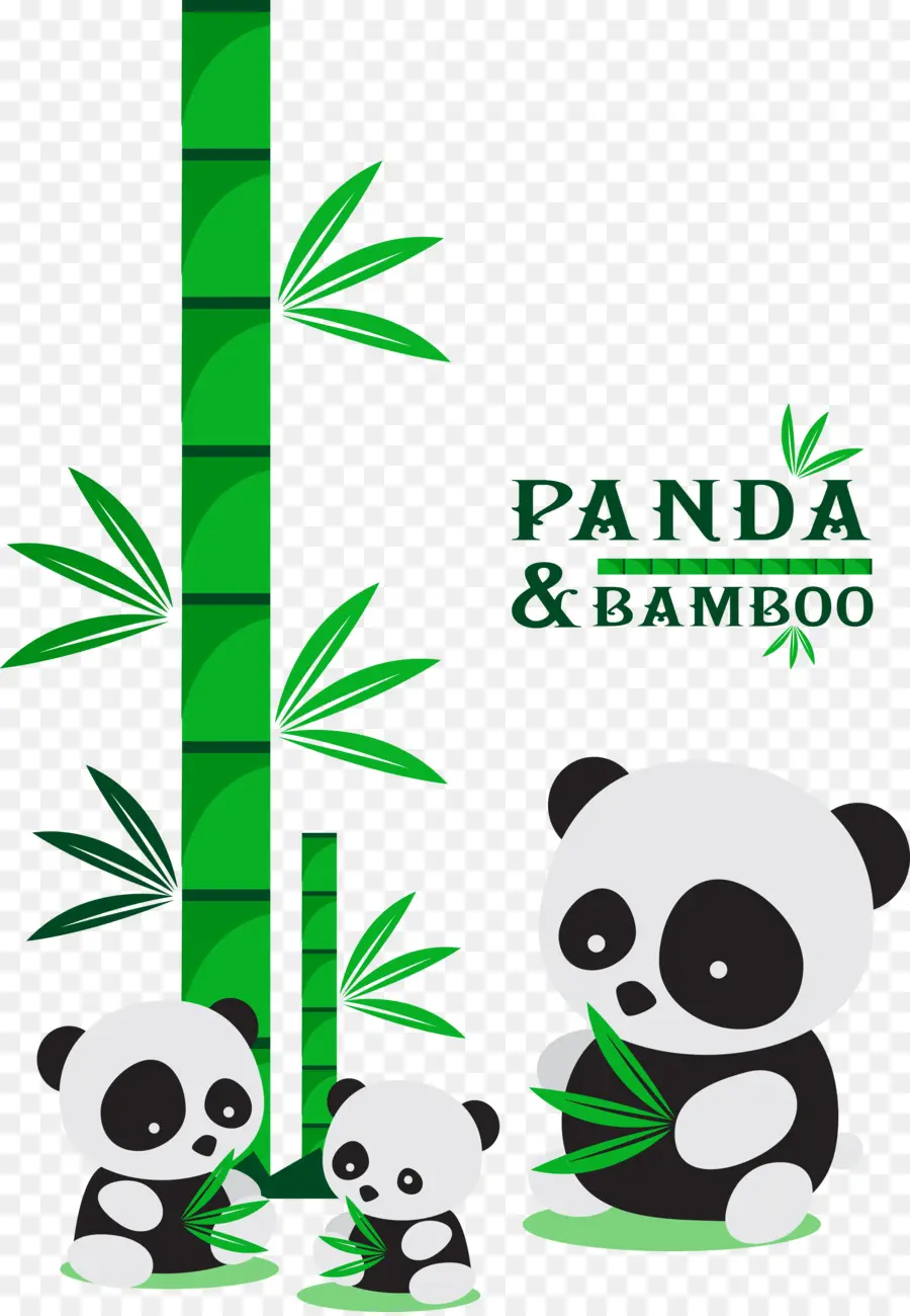 Panda Gigante，Verde PNG