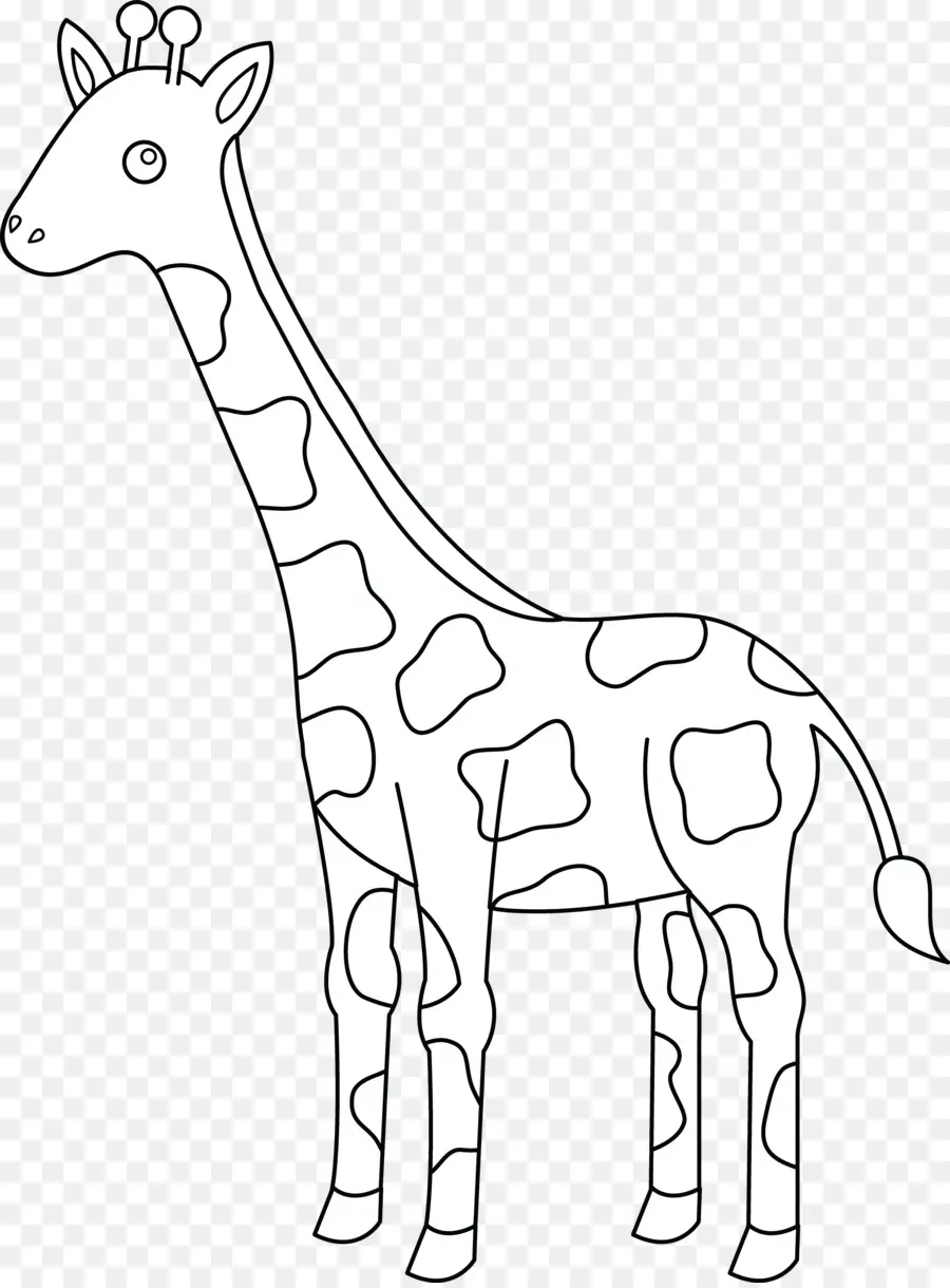 Contorno Da Girafa，Desenho PNG