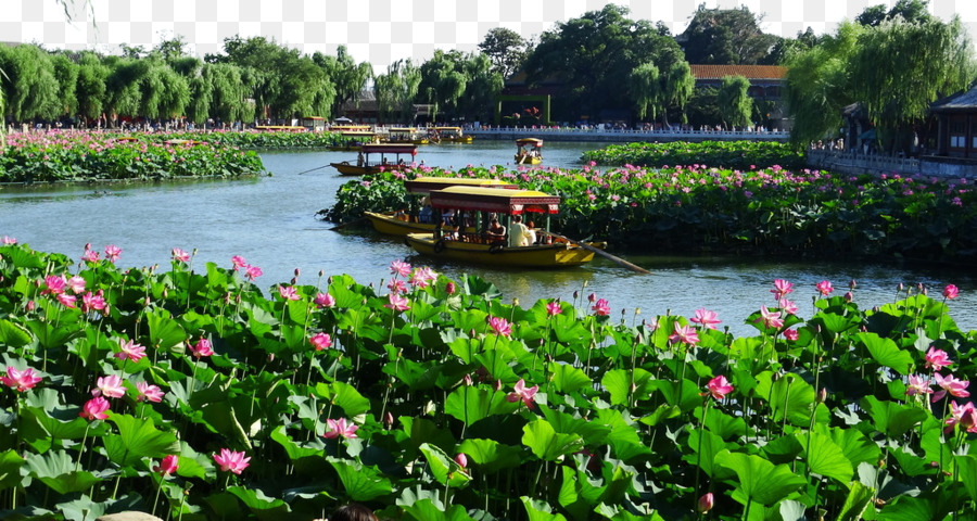 O Parque Beihai，Cidade Proibida PNG