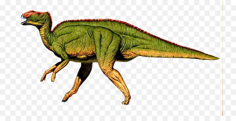 Dinossauro Verde，Pré Histórico PNG