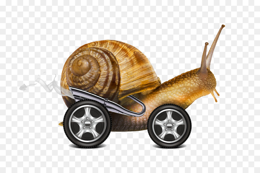 Caracol Com Rodas，Lesma PNG