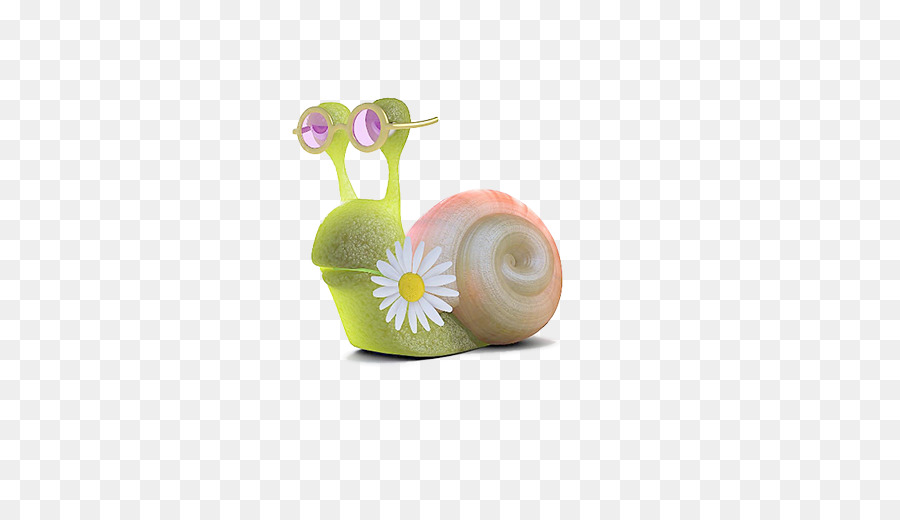 Caracol，Gastrópode Shell PNG