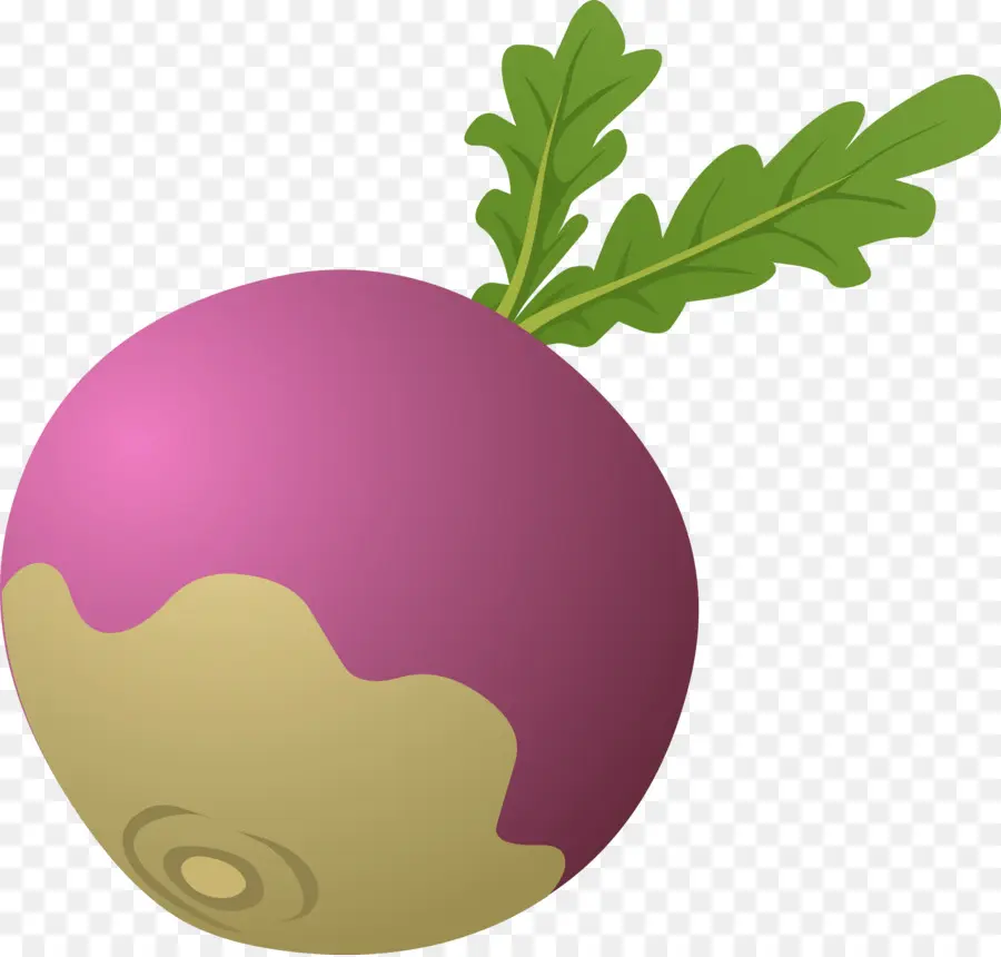 Daikon，Nabo Gigante PNG