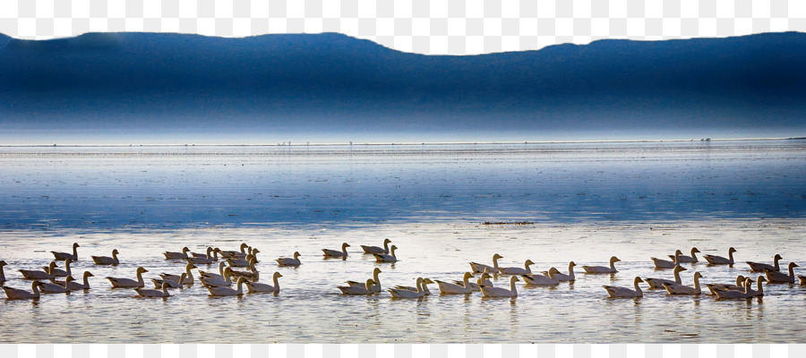 Lago，Azul PNG