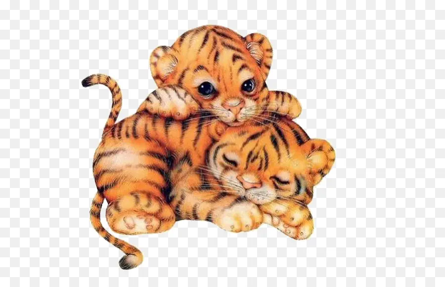 Filhotes De Tigre，Bonitinho PNG