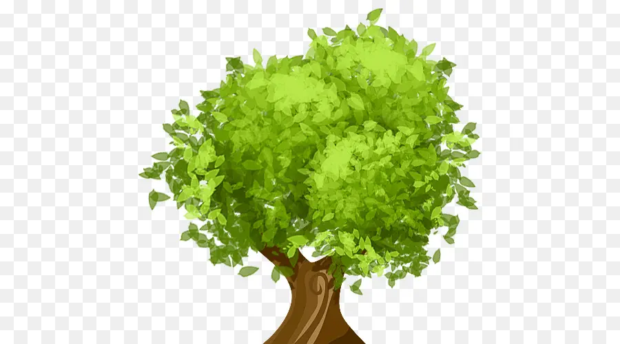 árvore，A Poda PNG