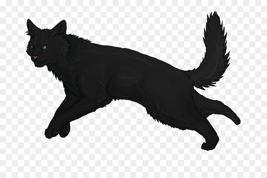 Gato Preto，Felino PNG