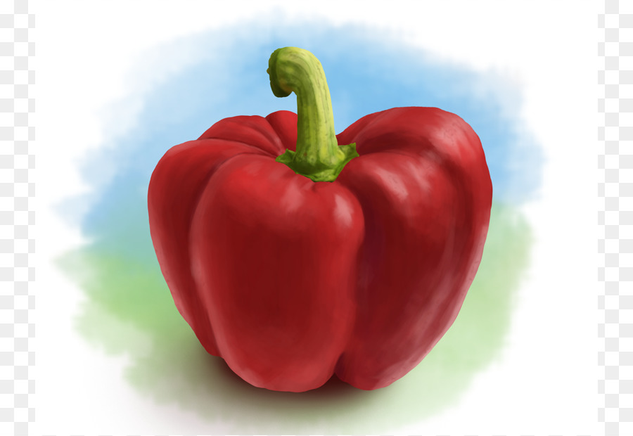 Pimenta Tabasco，Pintura PNG