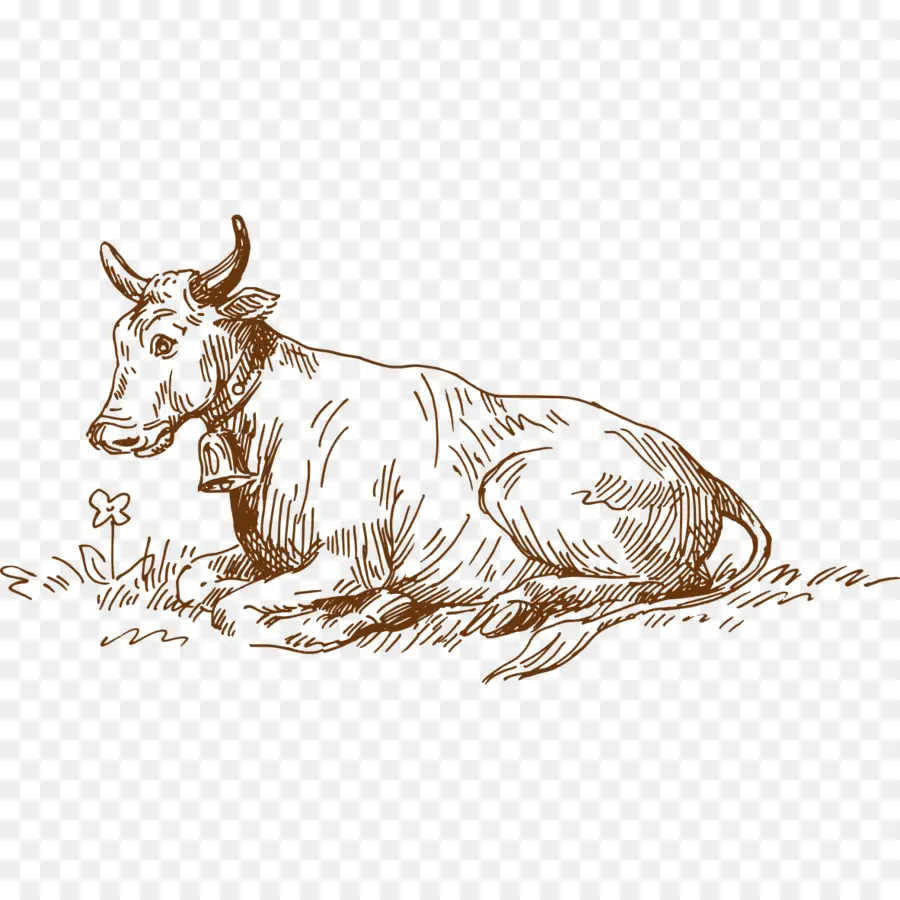 Desenho De Vaca，Esboço PNG