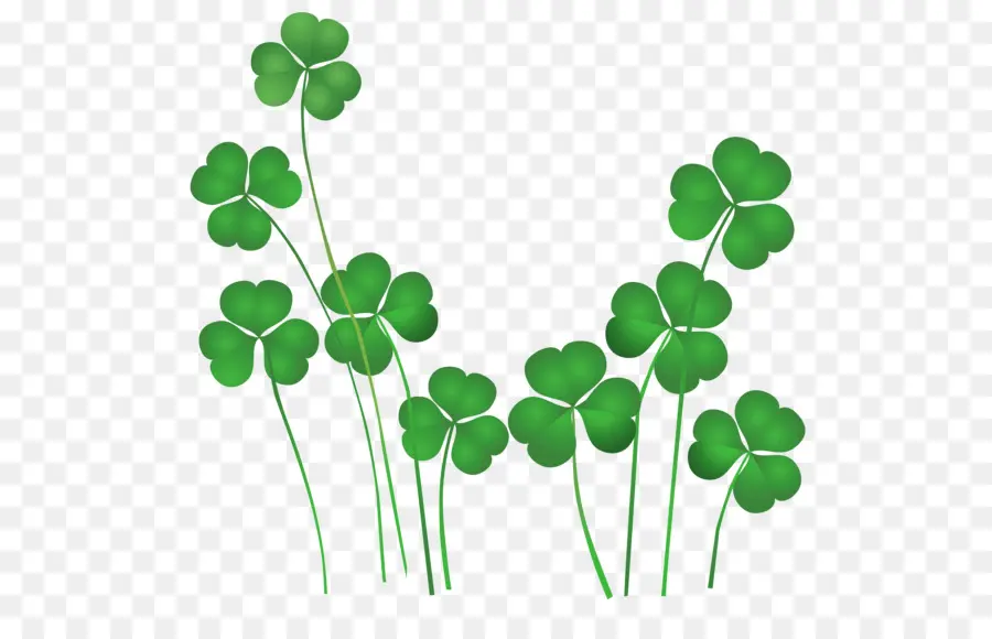 Irlanda，St Patricks Day Trevos PNG