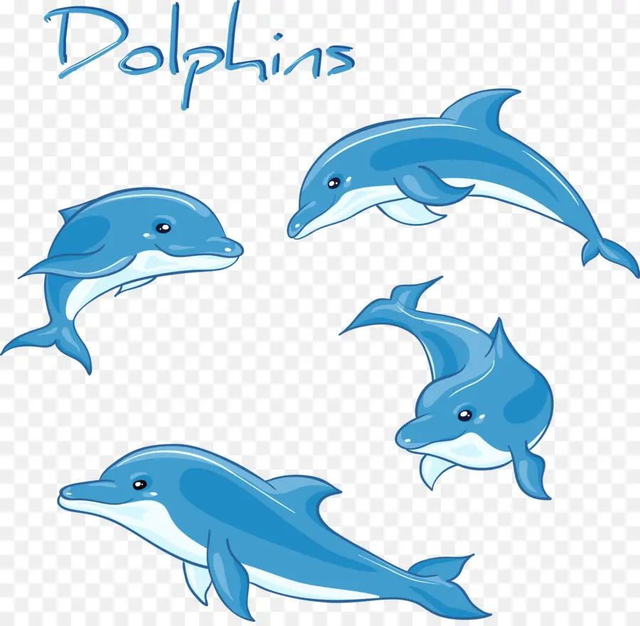 Dolphin，Cartoon PNG