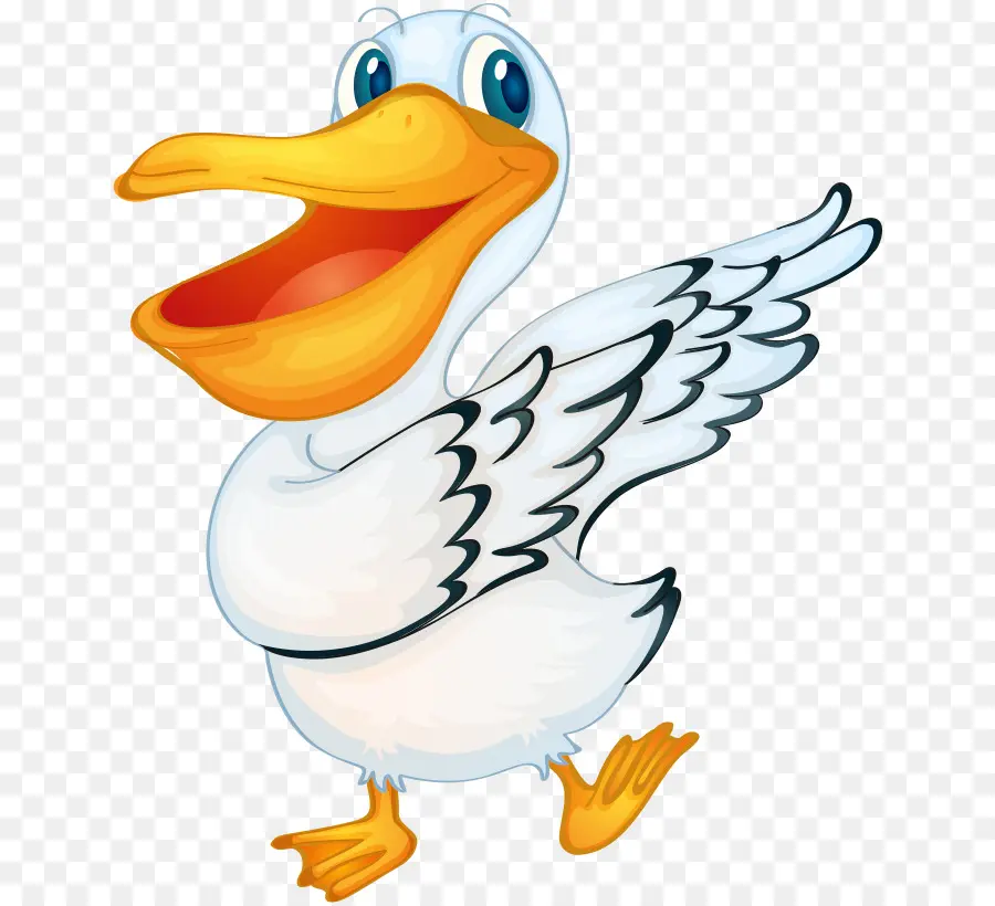 Pelicano，Aves PNG