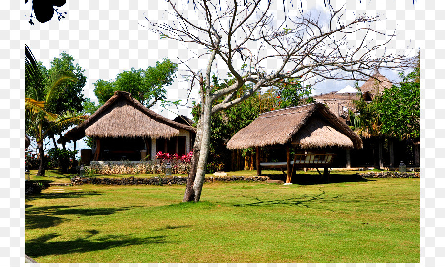 Cabanas De Palha，Tropical PNG