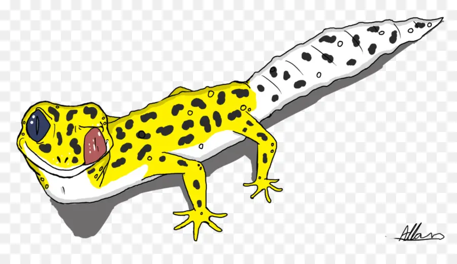 Gecko，Comum Leopard Gecko PNG