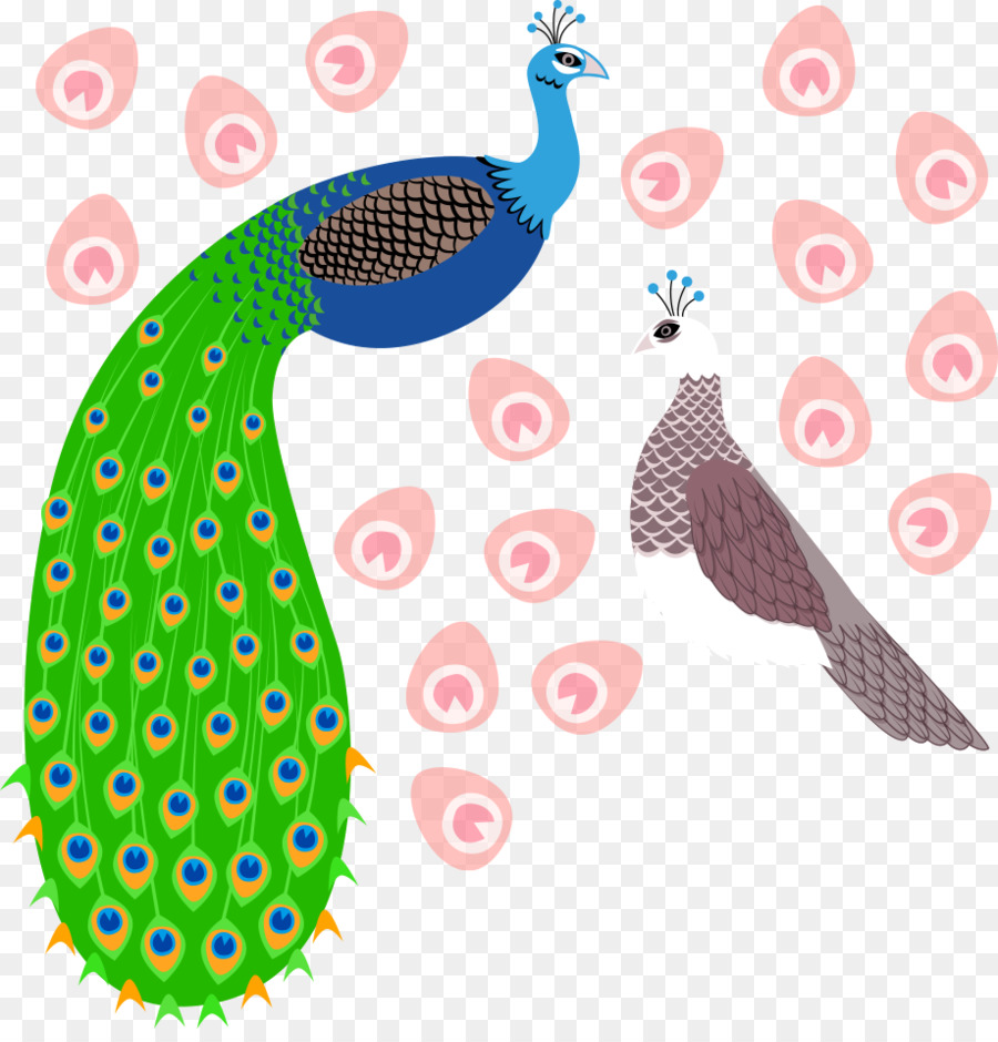 Aves，Peafowl PNG