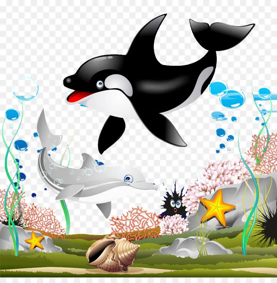 Orca，Golfinho PNG