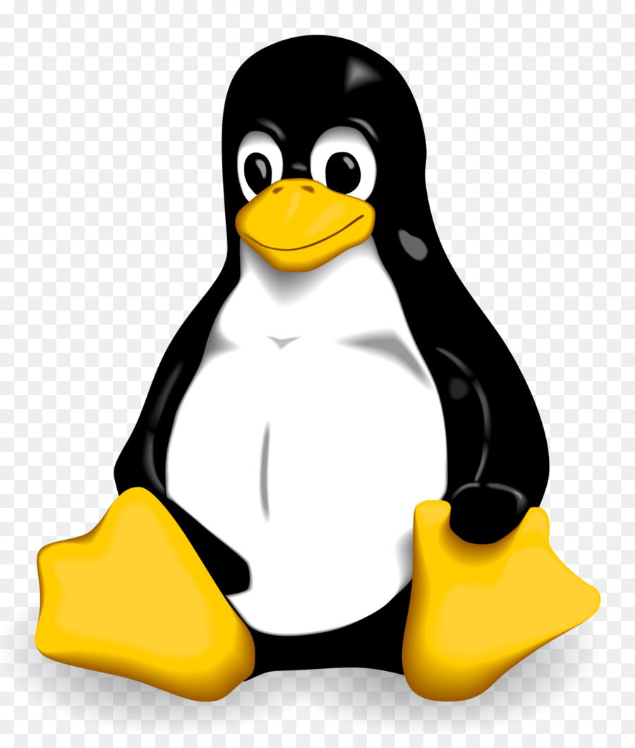 Pinguim，Pássaro PNG