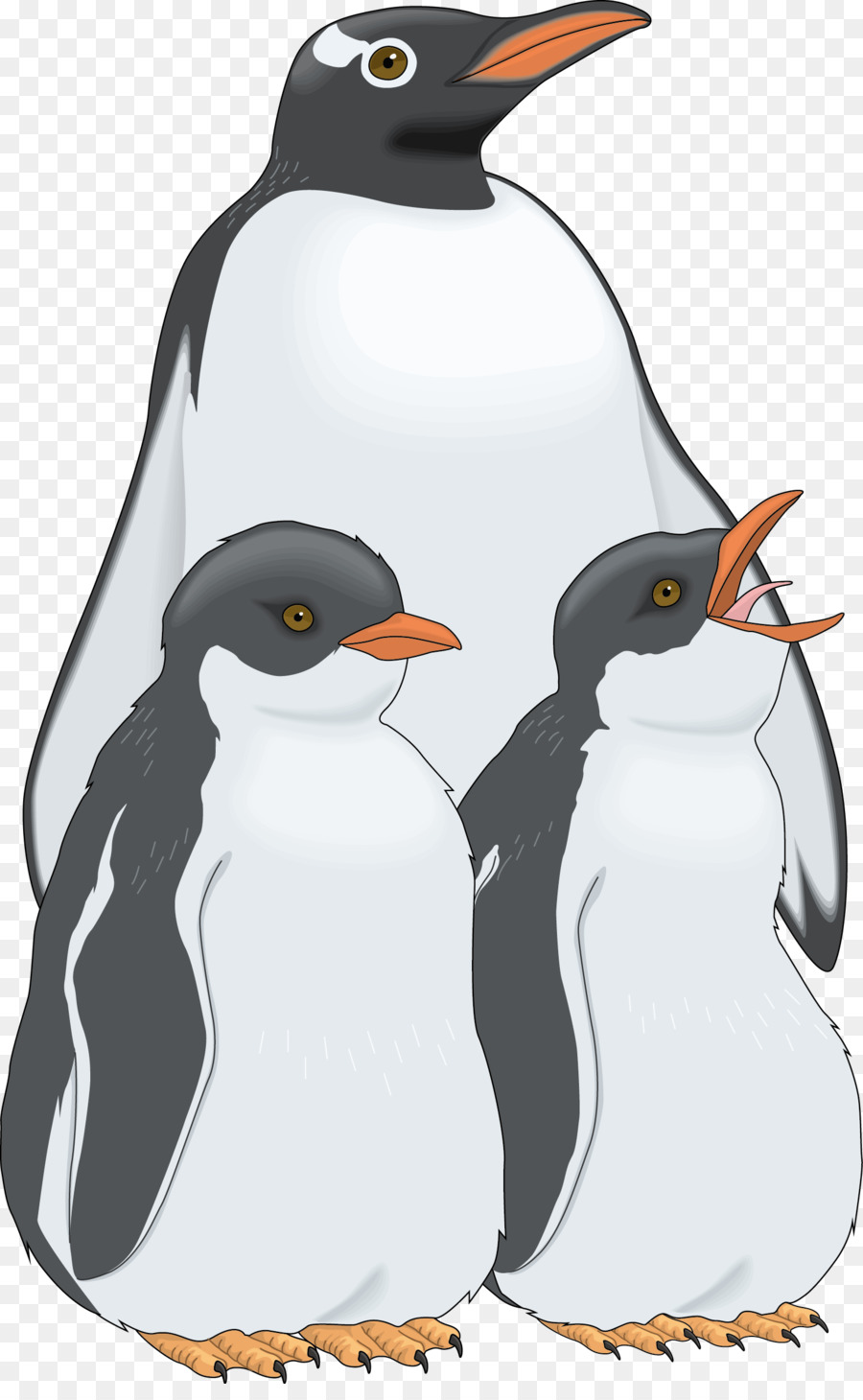 Pinguins，Pássaros PNG