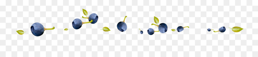 Mirtilos，Fruta PNG