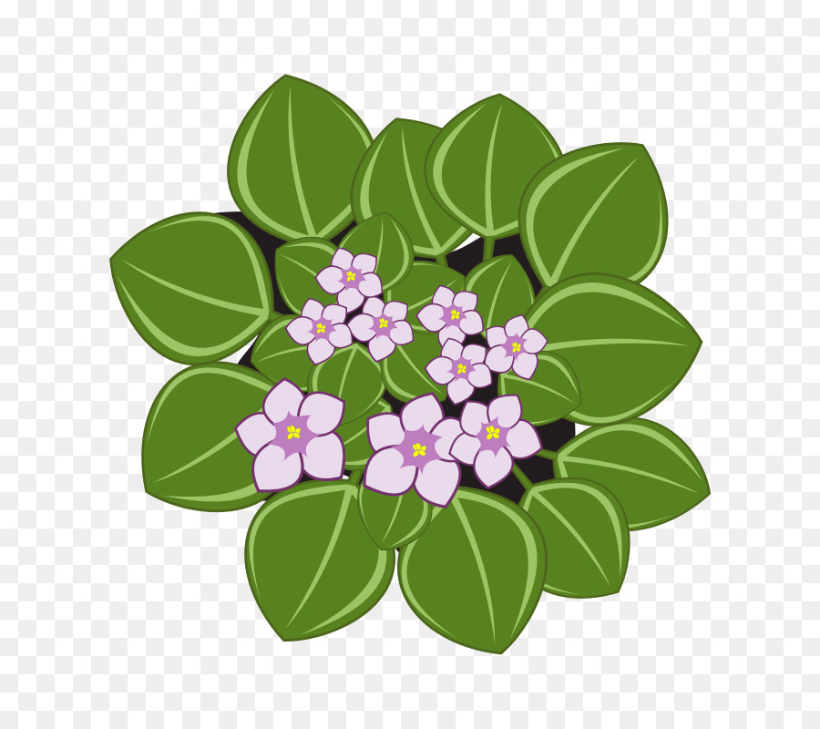 Planta Com Flores，Folhas PNG