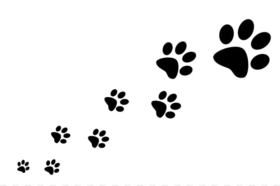 Impressões De Patas，Animal PNG