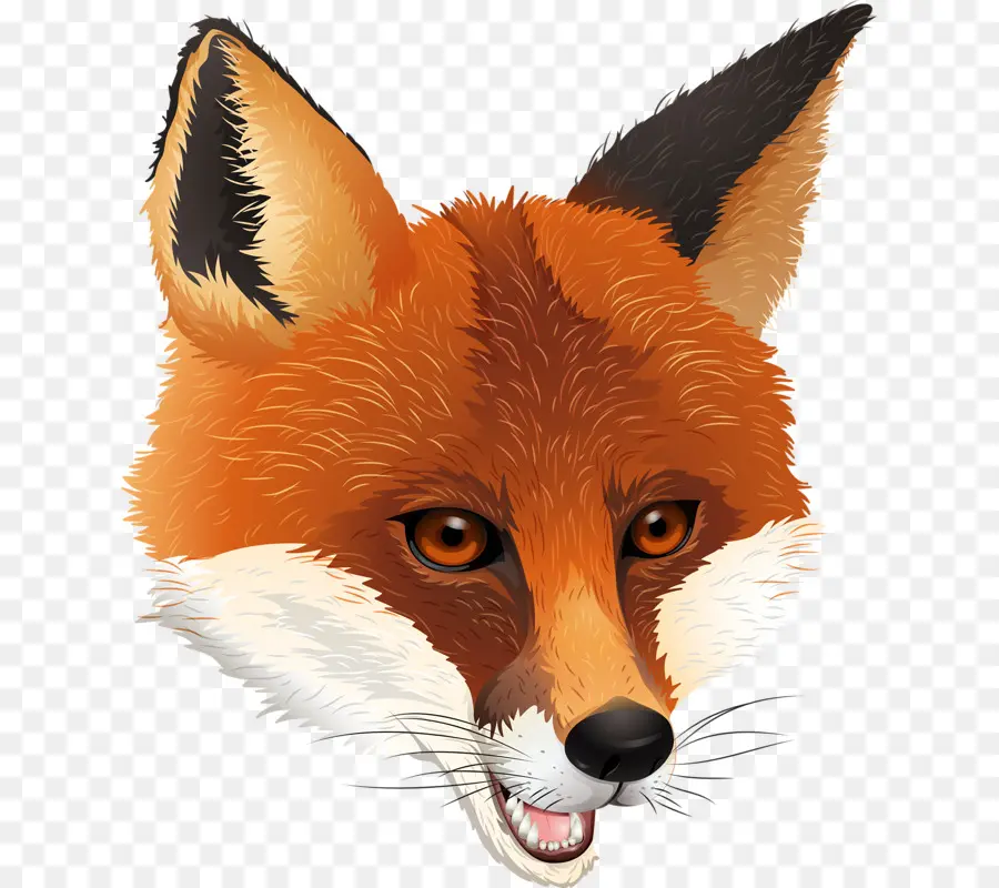 Fox，Royaltyfree PNG