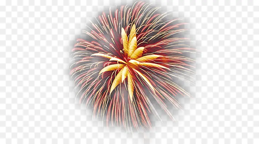 Fogos De Artifício，Fogo De Artifício PNG