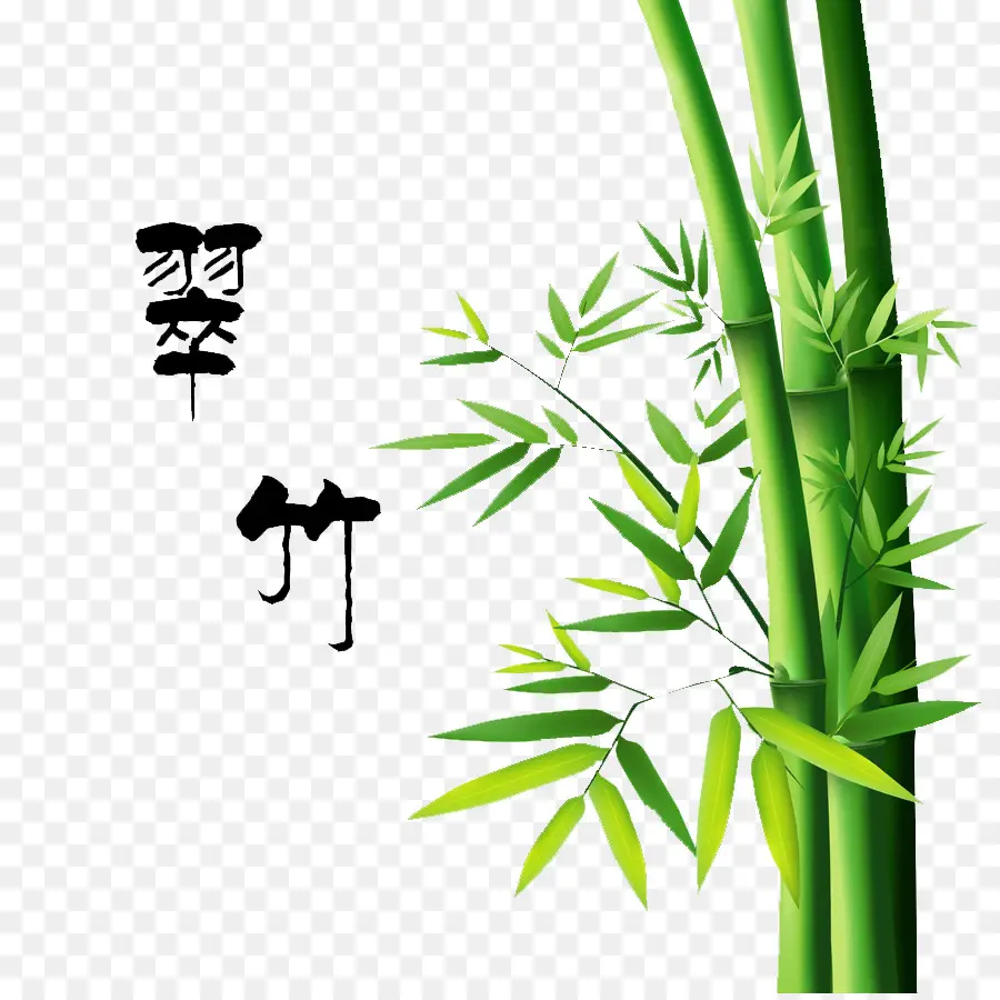 Bambu，Verde PNG