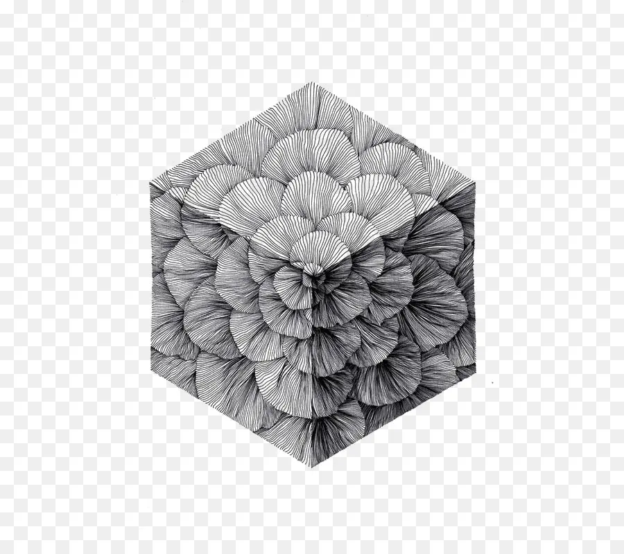 Padrão De Flor Hexagonal，Preto E Branco PNG