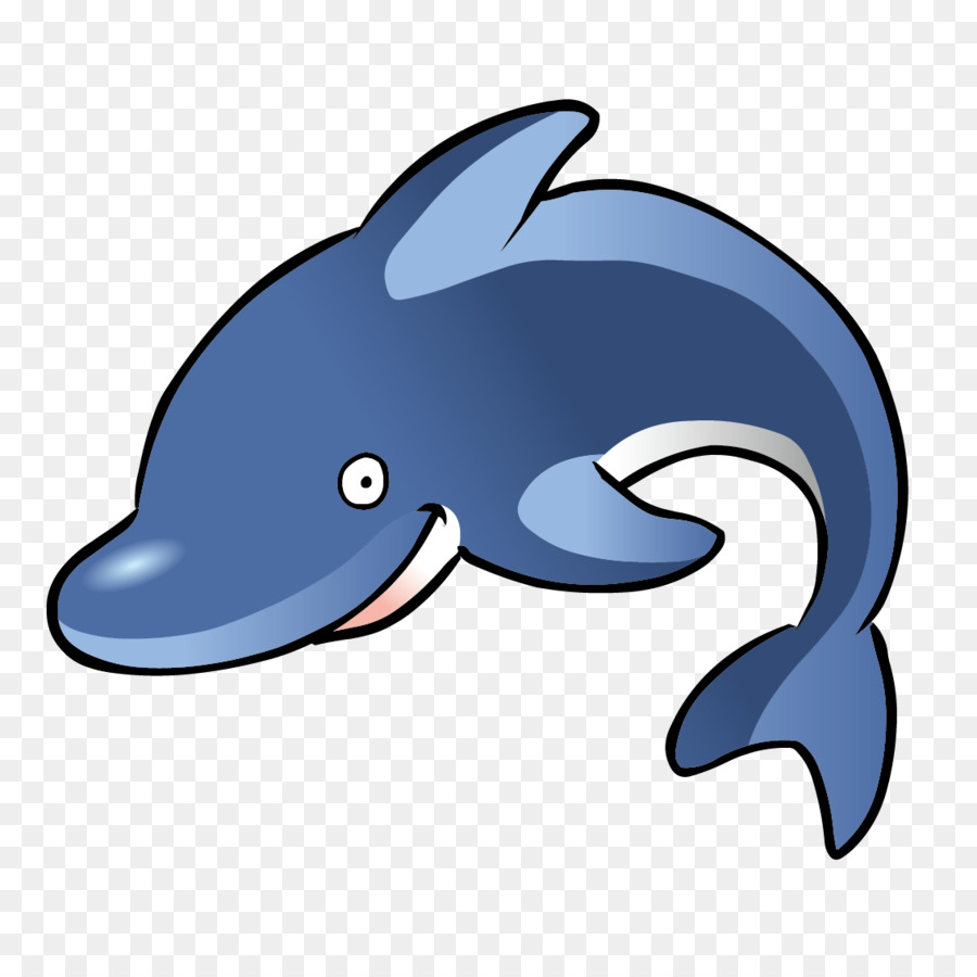 Golfinho Rotador，Dolphin PNG