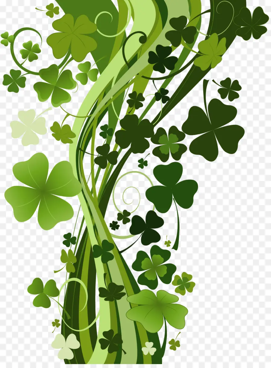 Saint Patricks Day，Fourleaf Trevo PNG