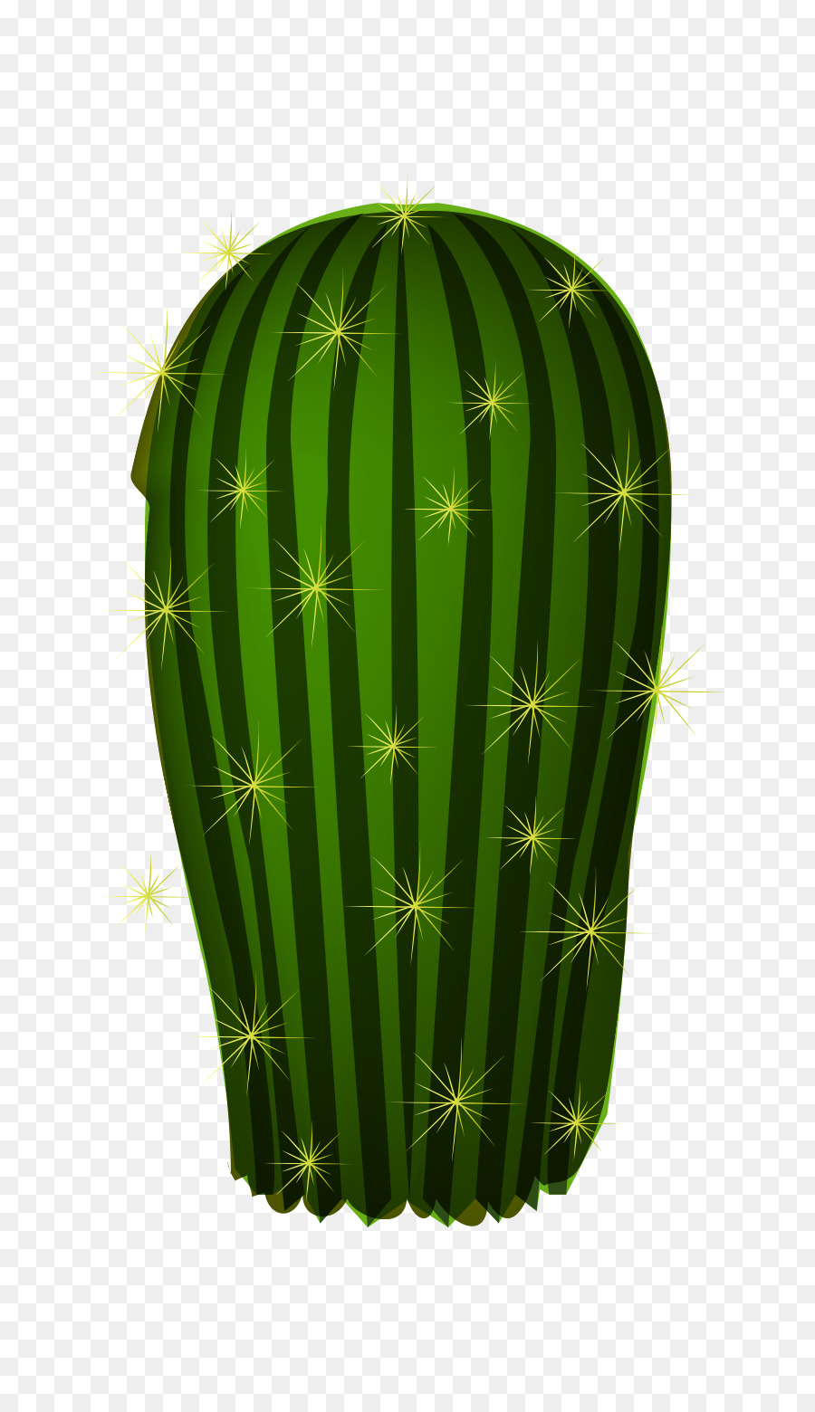 Cactaceae，O Adobe Illustrator PNG