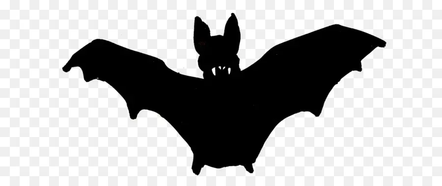 Bat，Silhueta PNG