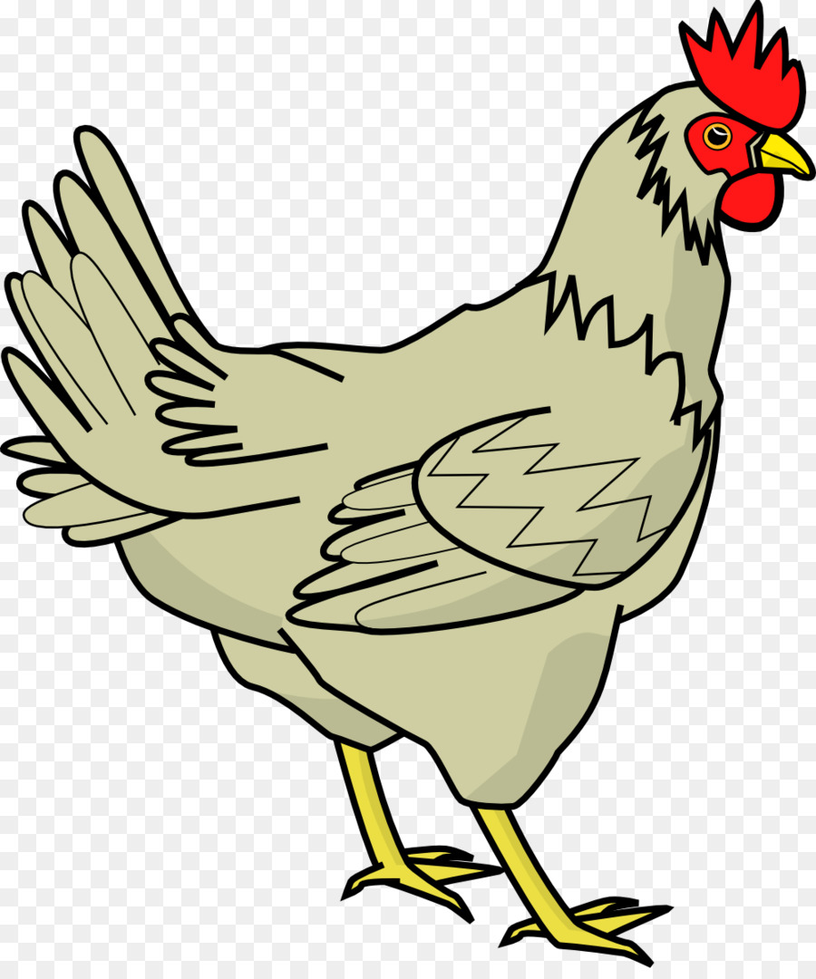 Hen Clipart Png - Desenho De Galinha Colorido, Transparent Png - 800x776  (#2088849) - PinPng