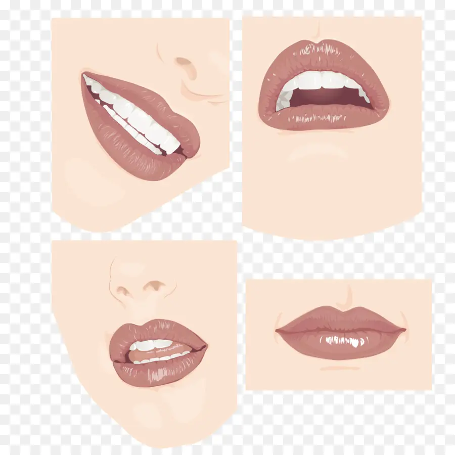 Lip，Rosto PNG