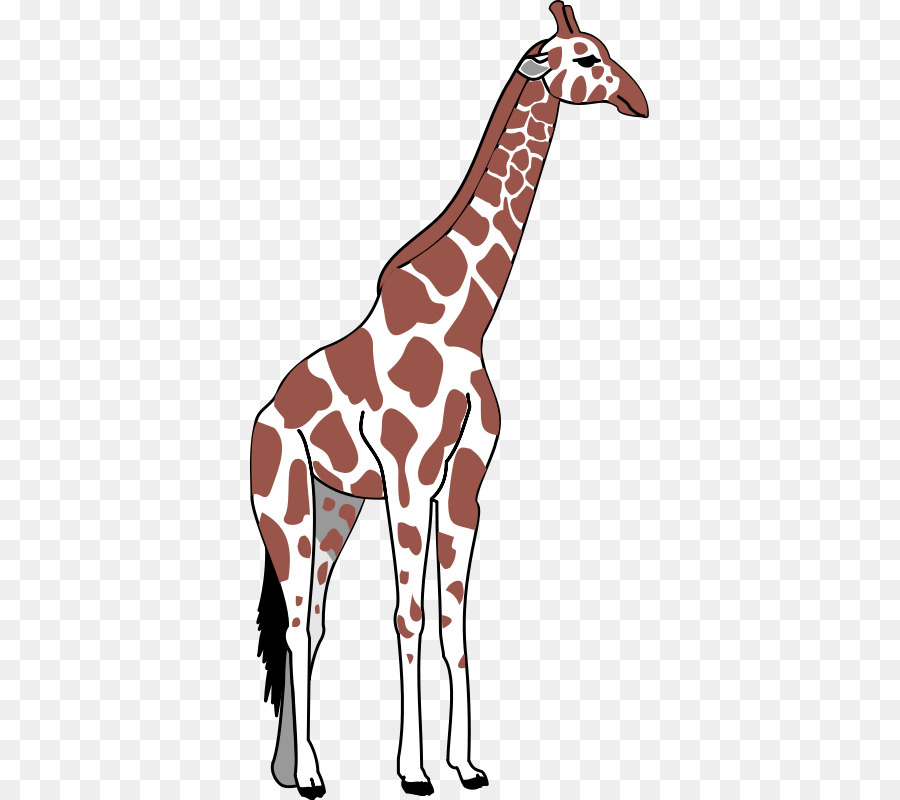 Girafa Estampada，Alto PNG