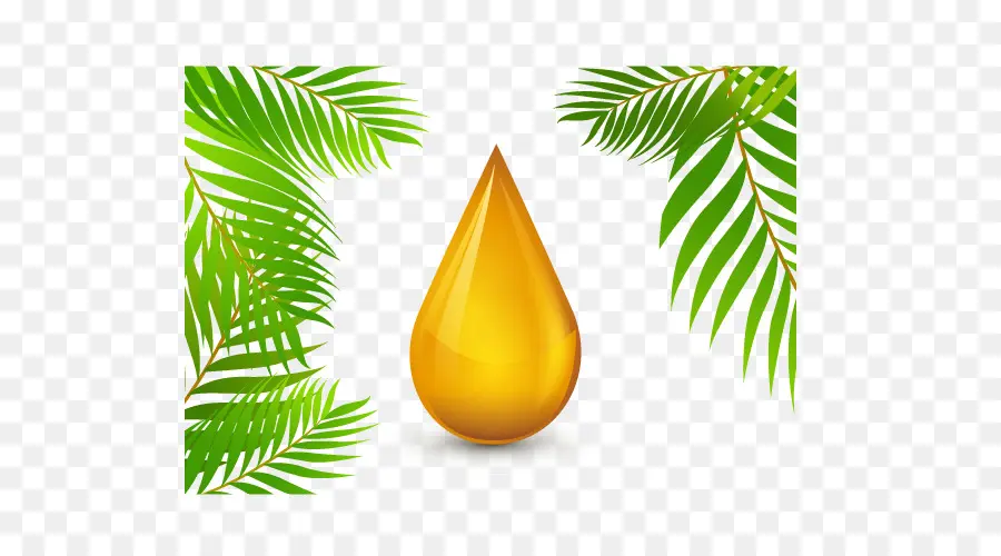 O óleo De Palma，óleo PNG