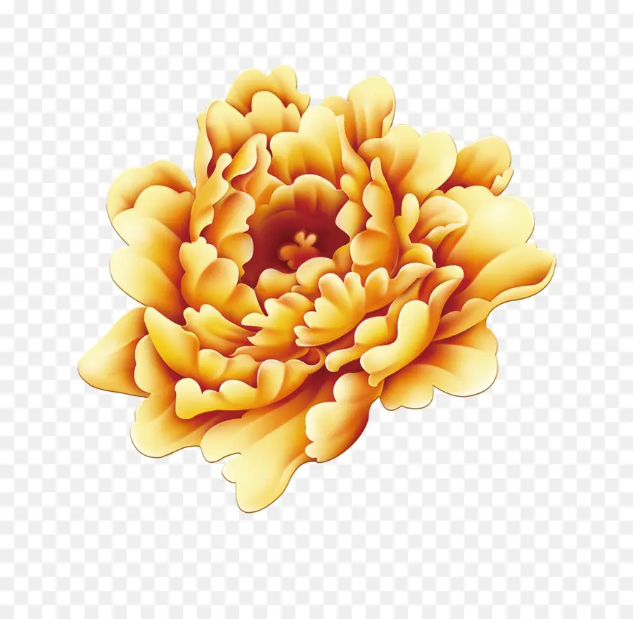 Flor Laranjeira，Flor PNG