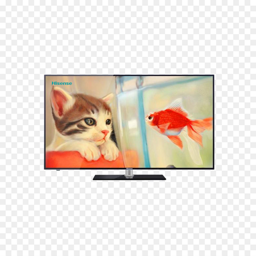 Televisão，Gato PNG