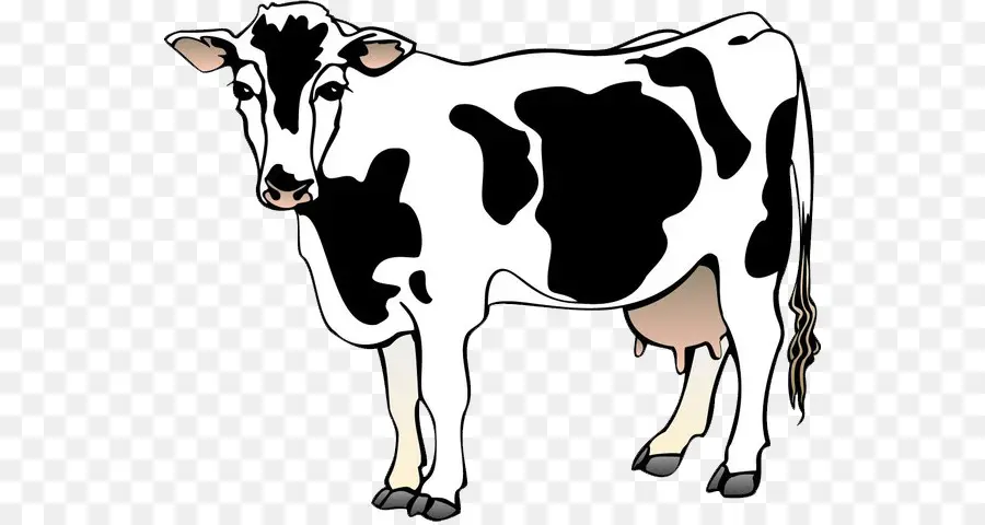 Holstein Frísia Gado，Bovinos De Leite PNG