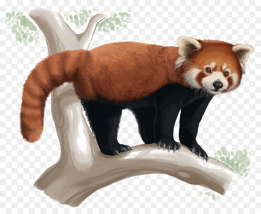 Panda PNG , Pintados à Mão, Cartoon, Animal Imagem PNG e Vetor Para  Download Gratuito