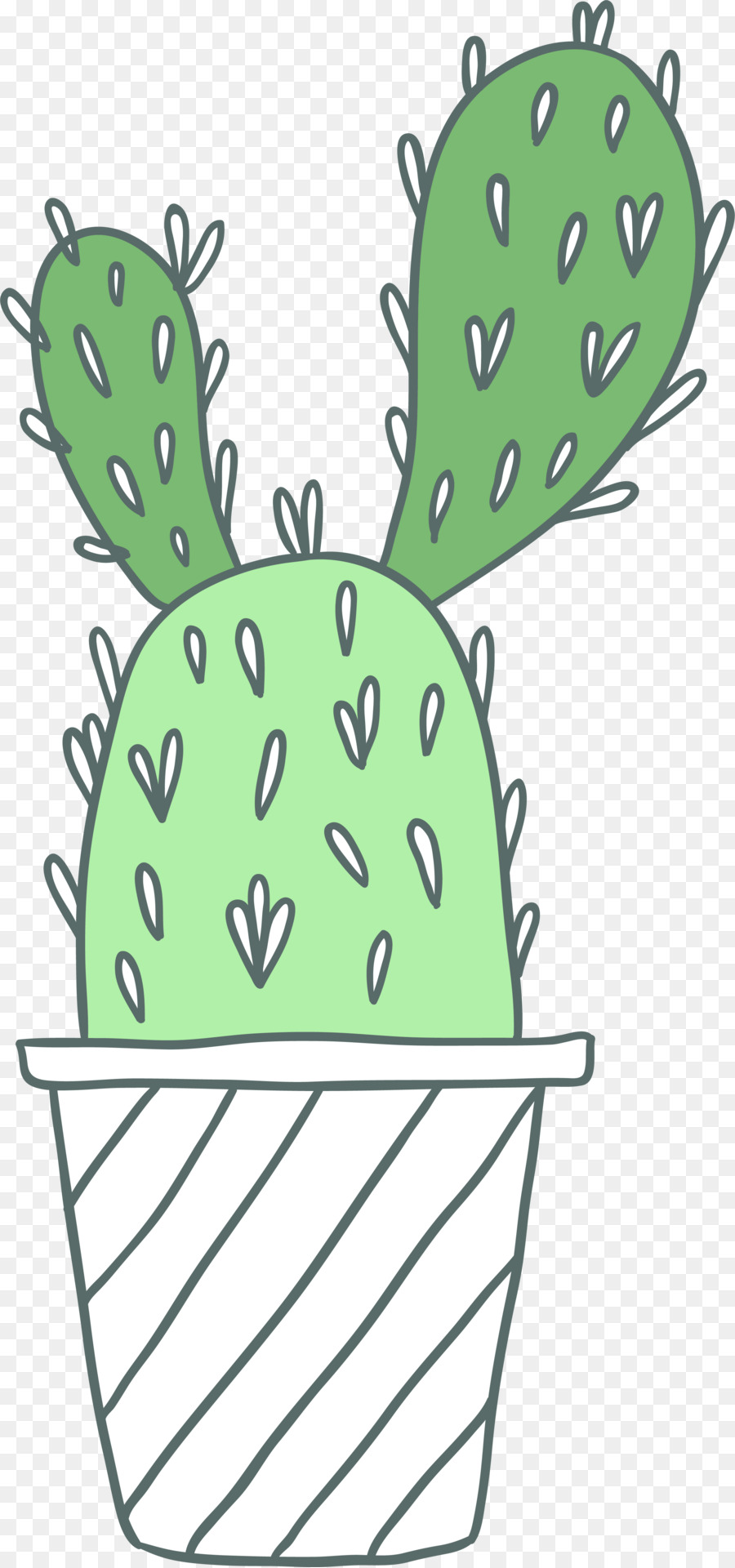 Cartoon，Cactaceae PNG